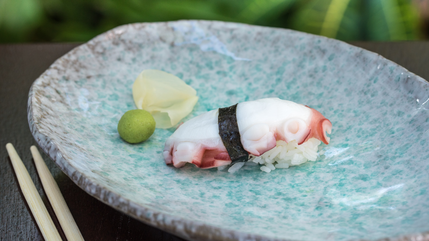 Octopus Sashimi / Nigiri