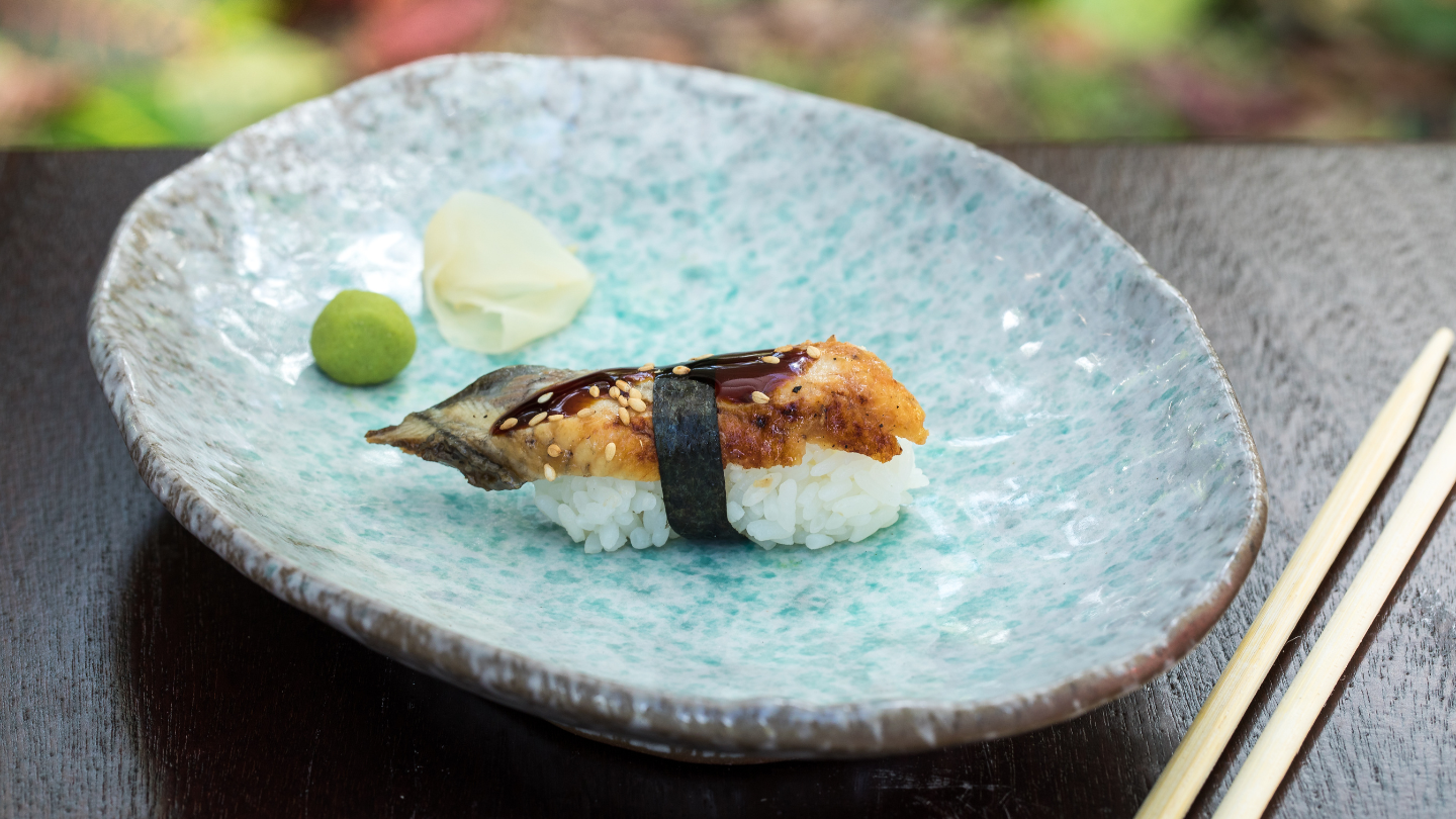 Eel Sashimi / Nigiri