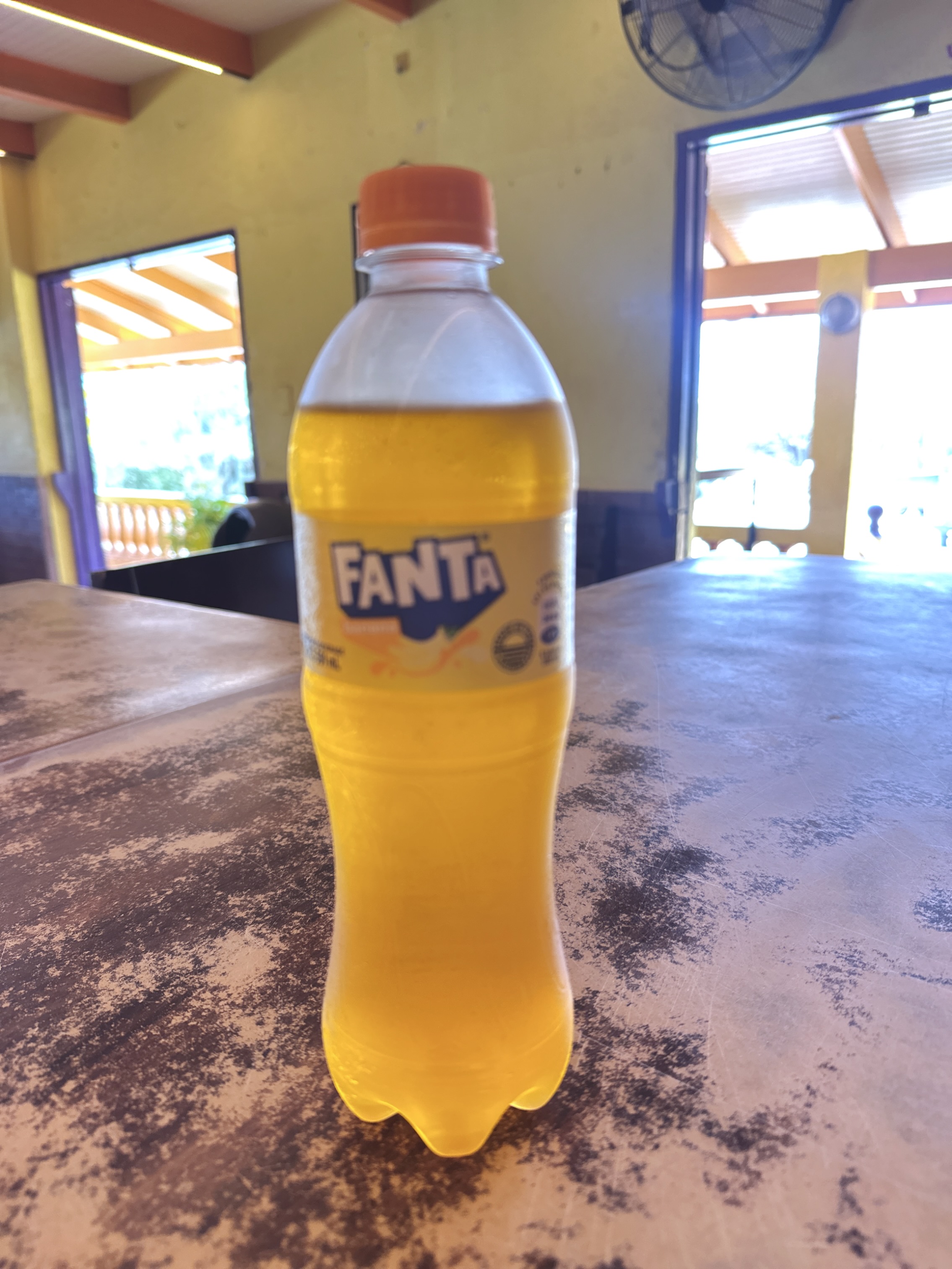 Soda Bottles (20 oz)