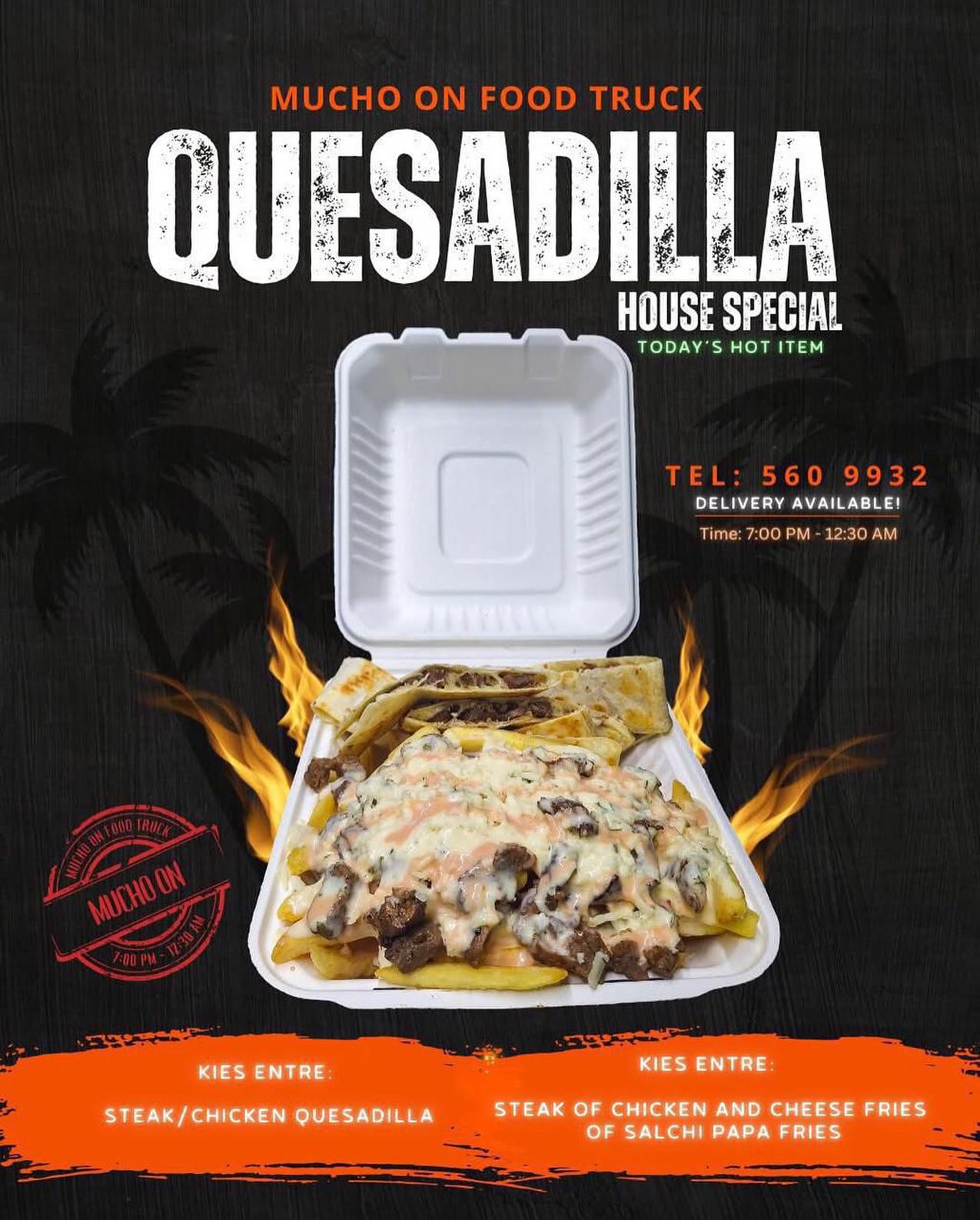 Quesadilla House Special