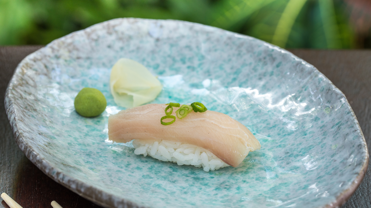 Yellowtail Sashimi / Nigiri