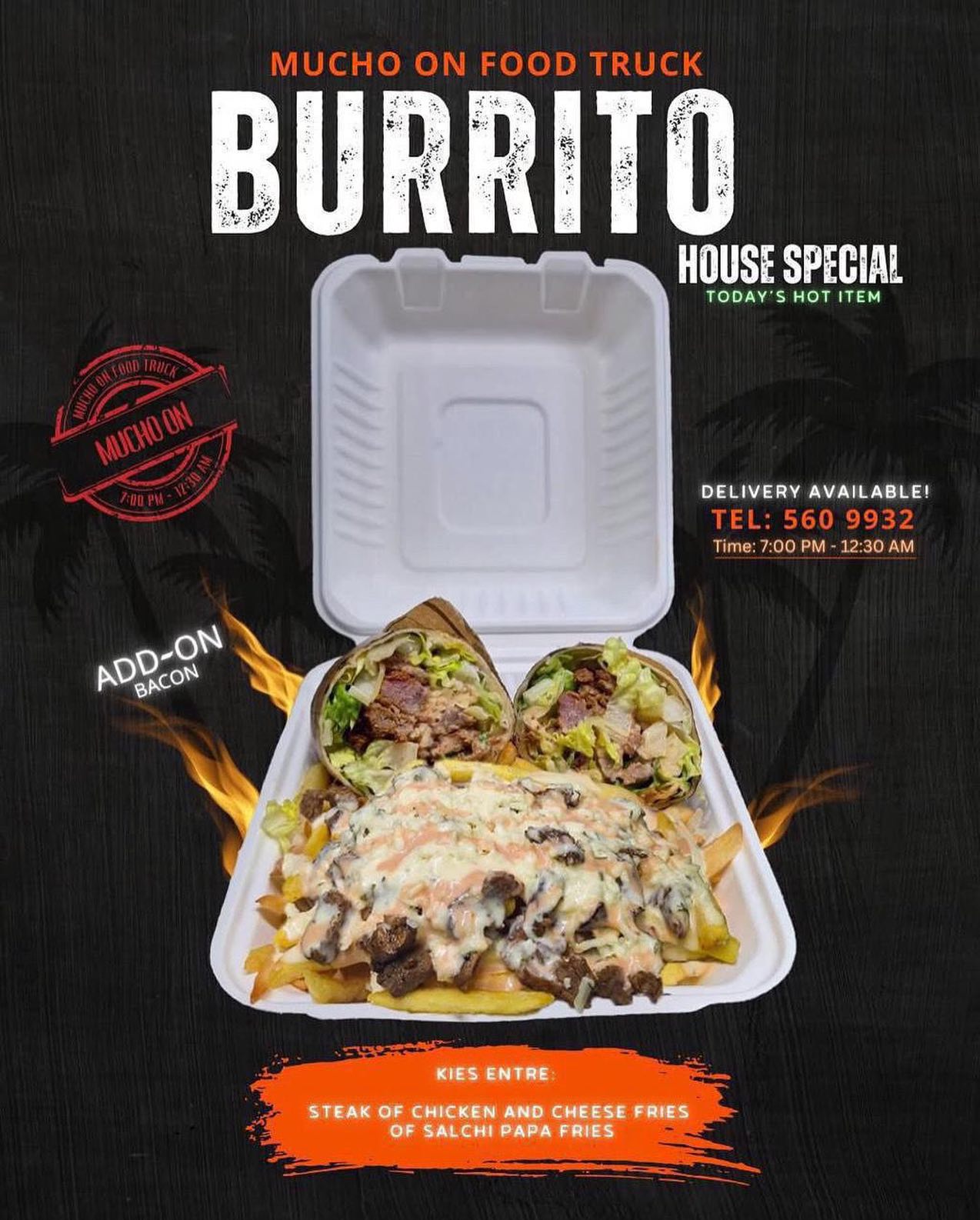 Burrito House Special