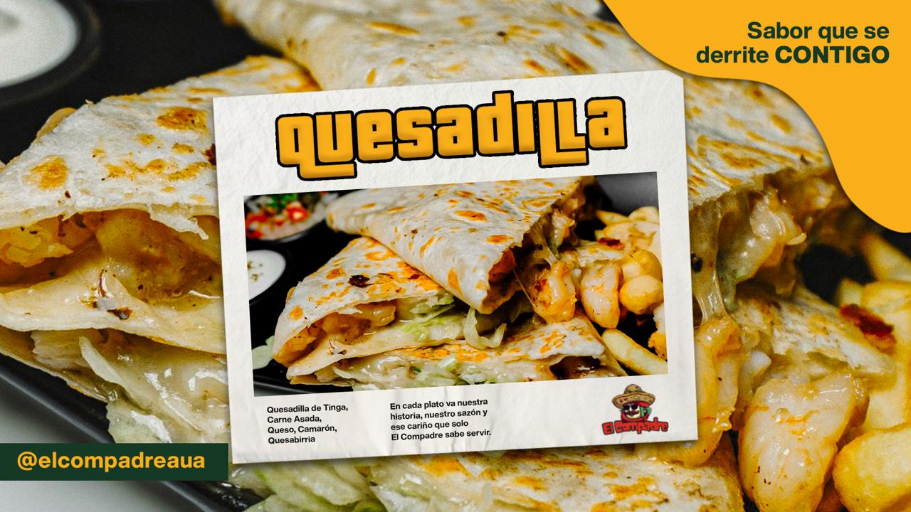 Grilled beef Quesadilla